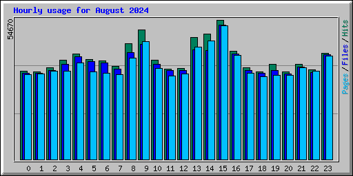 Hourly usage for August 2024