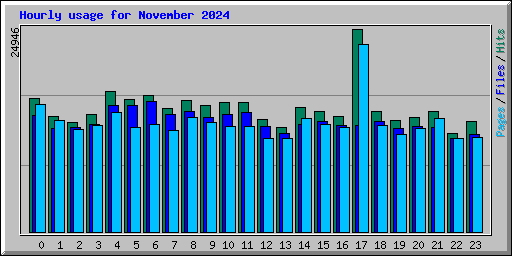 Hourly usage for November 2024