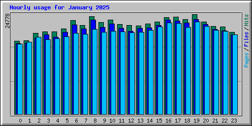 Hourly usage for January 2025