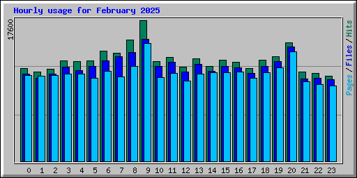 Hourly usage for February 2025