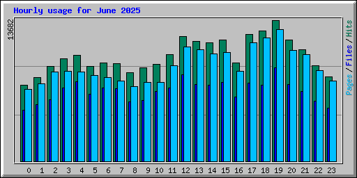 Hourly usage for June 2025