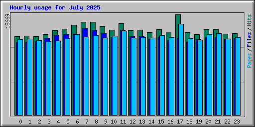 Hourly usage for July 2025