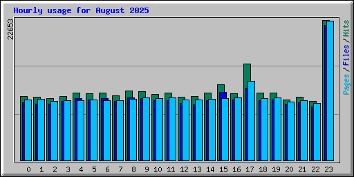 Hourly usage for August 2025
