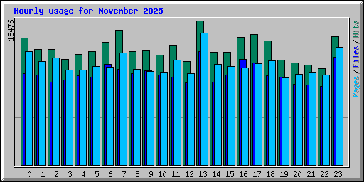 Hourly usage for November 2025