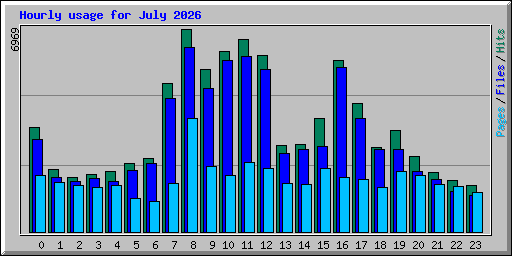 Hourly usage for July 2026