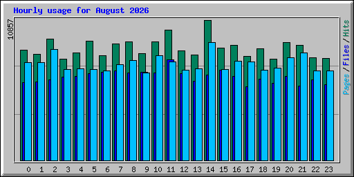 Hourly usage for August 2026