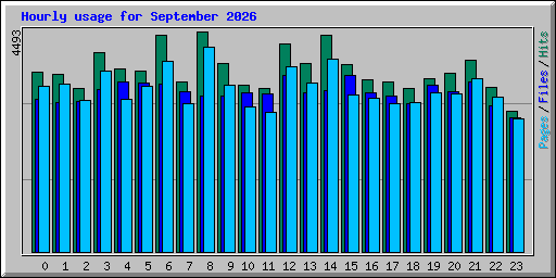 Hourly usage for September 2026